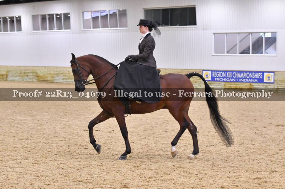 Proof Number 22R13_04679