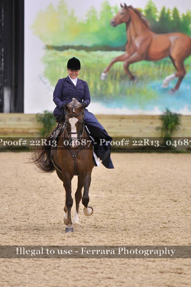 Proof Number 22R13_04687