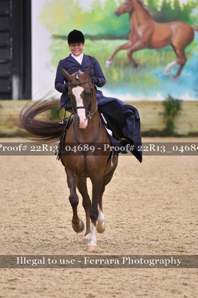 Proof Number 22R13_04689