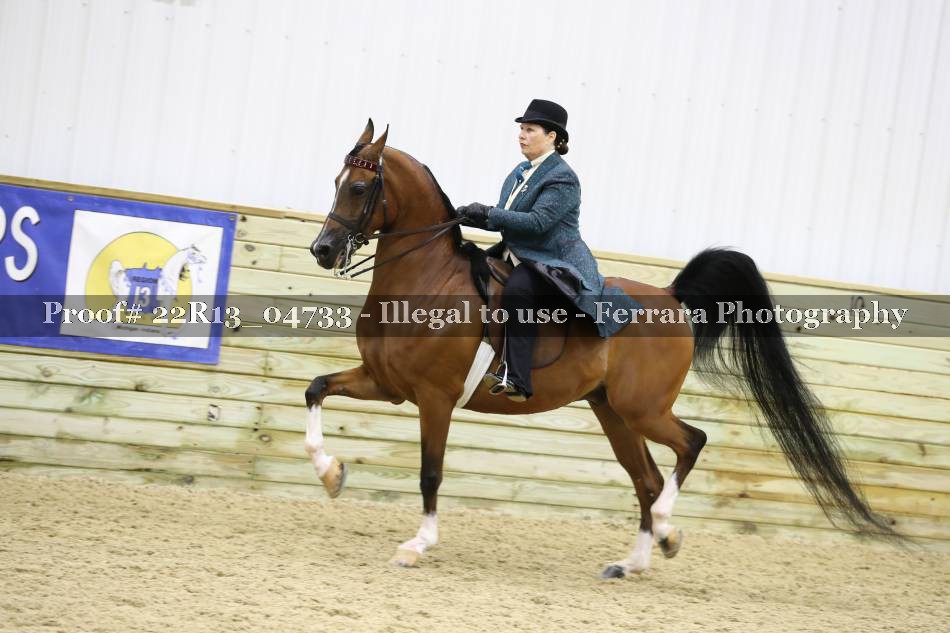 Proof Number 22R13_04733