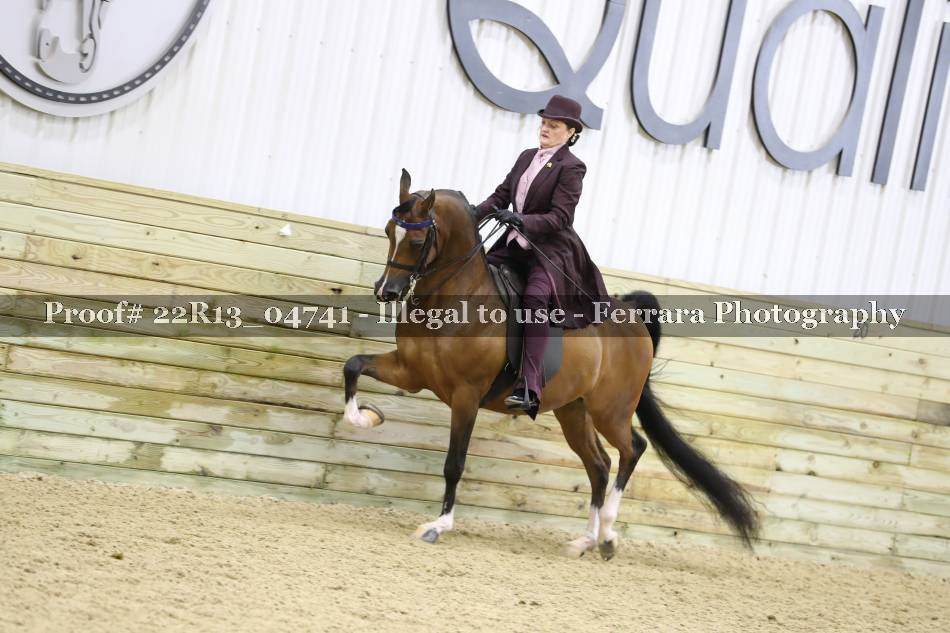 Proof Number 22R13_04741