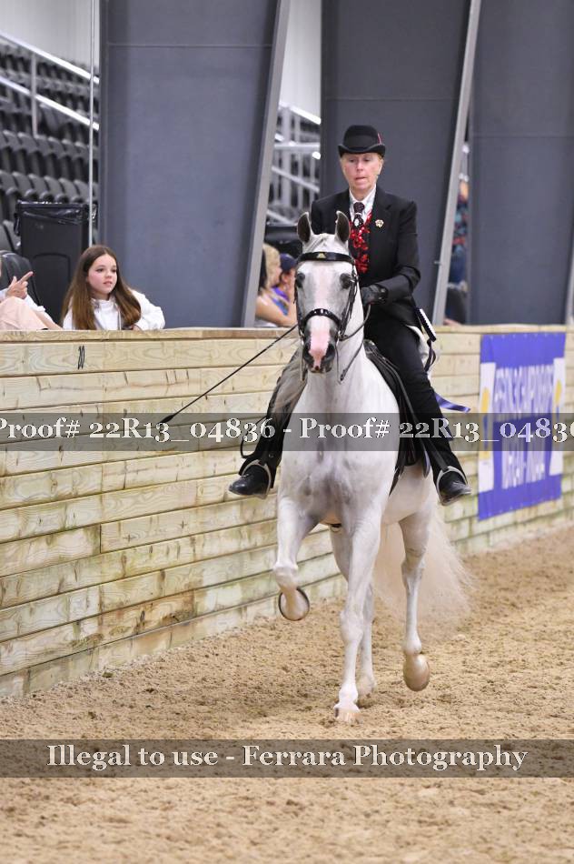 Proof Number 22R13_04836