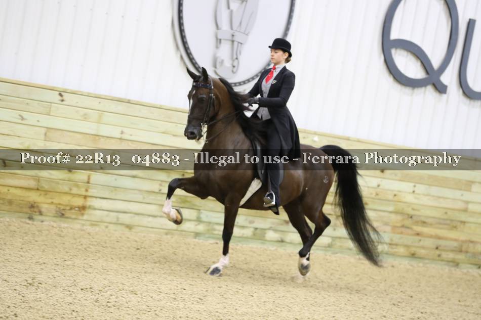 Proof Number 22R13_04883