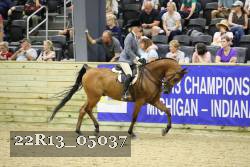 22R13_05037 thumbnail