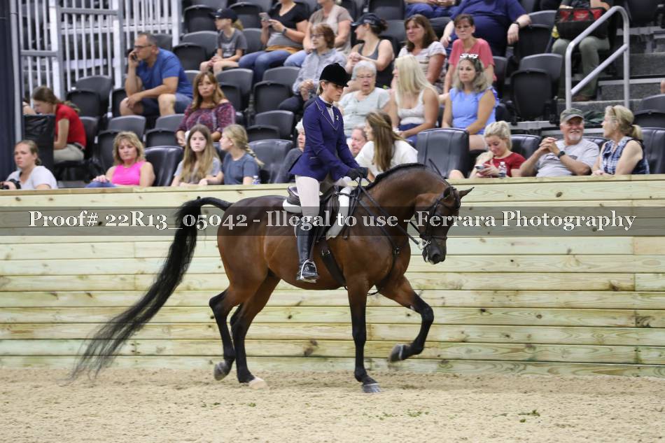 Proof Number 22R13_05042