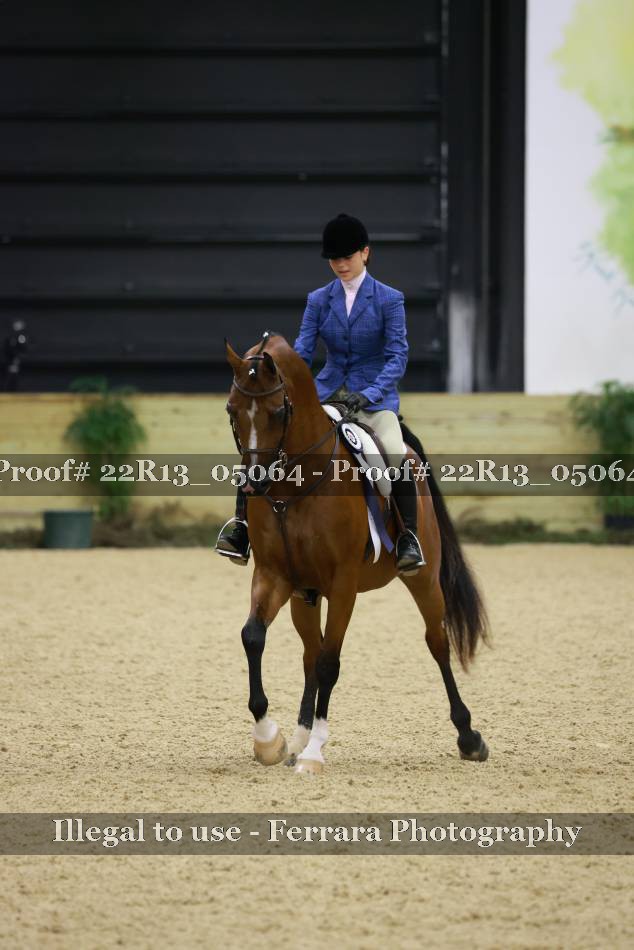 Proof Number 22R13_05064
