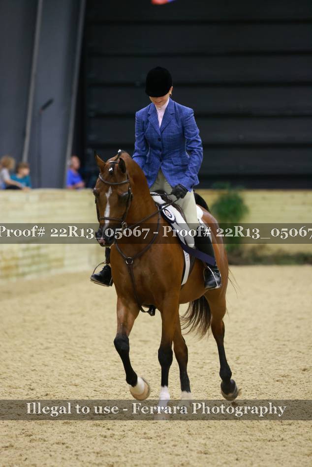 Proof Number 22R13_05067