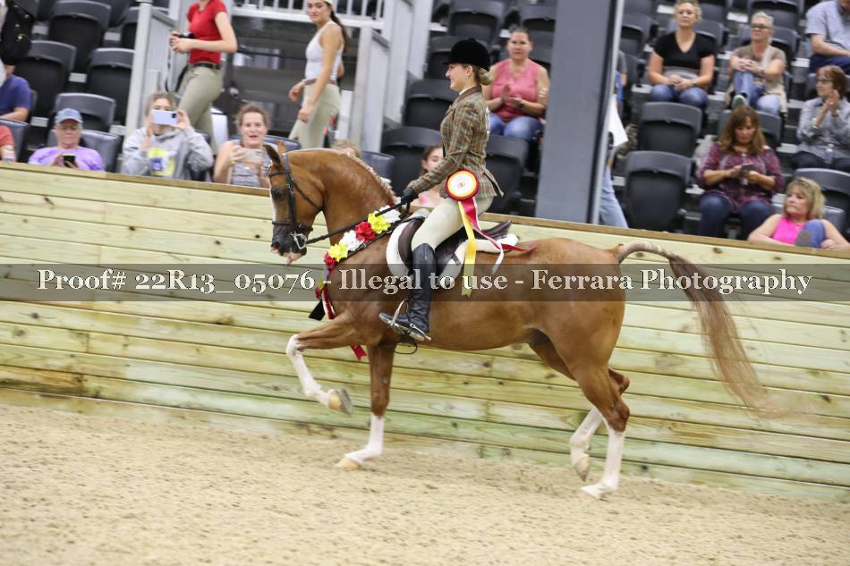 Proof Number 22R13_05076