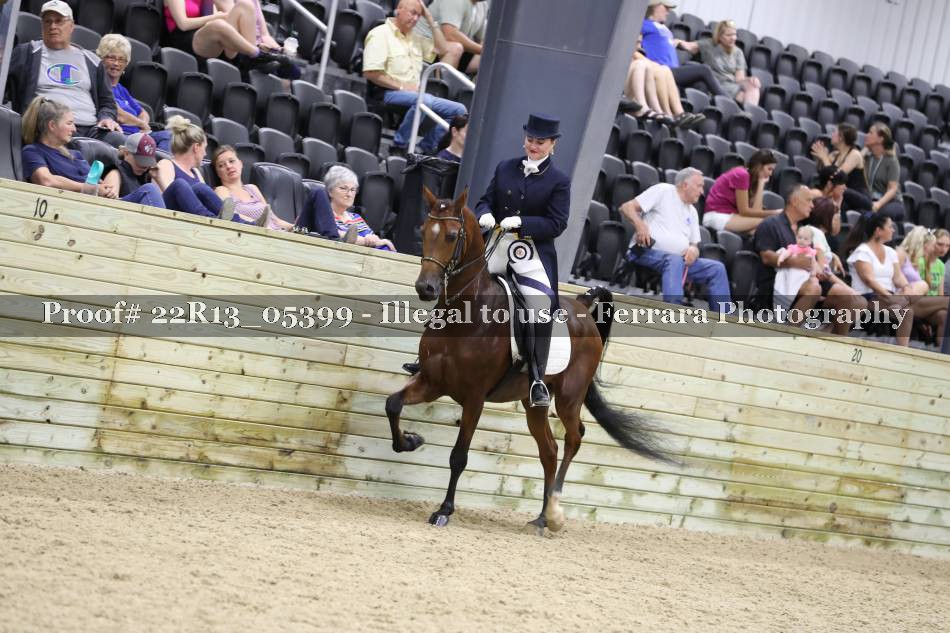 Proof Number 22R13_05399