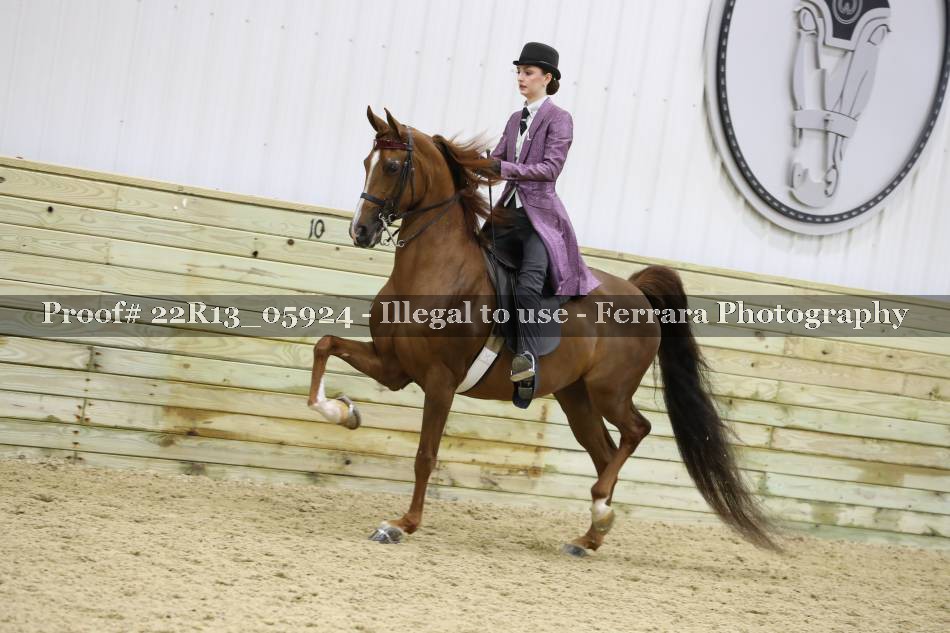 Proof Number 22R13_05924