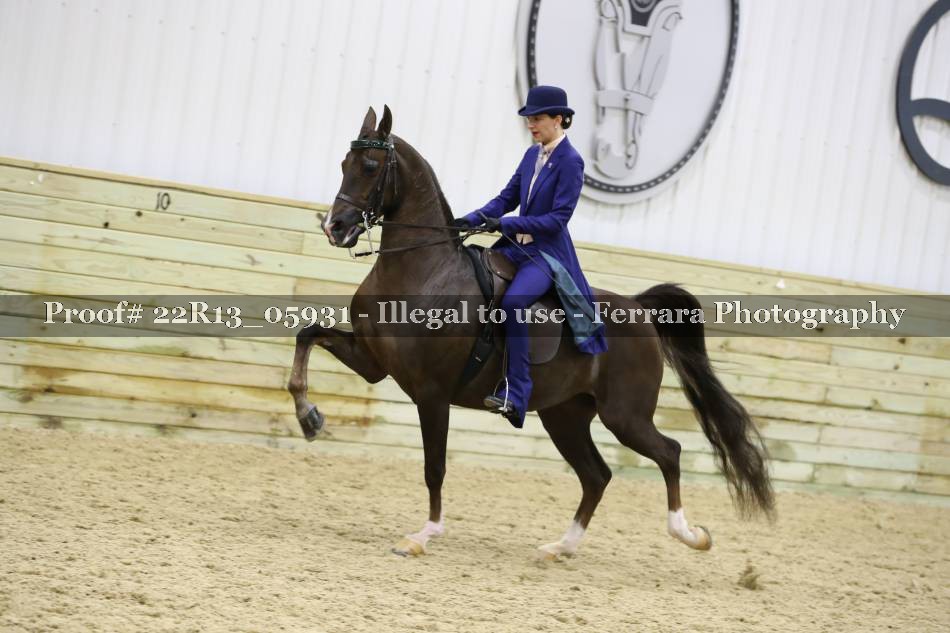 Proof Number 22R13_05931