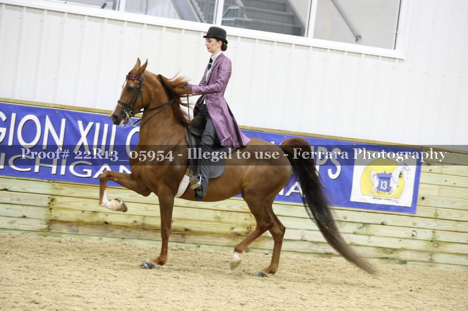 Proof Number 22R13_05954