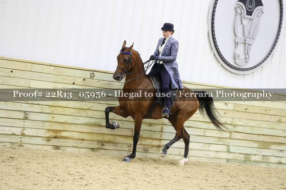 Proof Number 22R13_05956