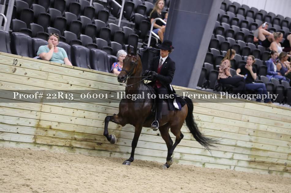 Proof Number 22R13_06001