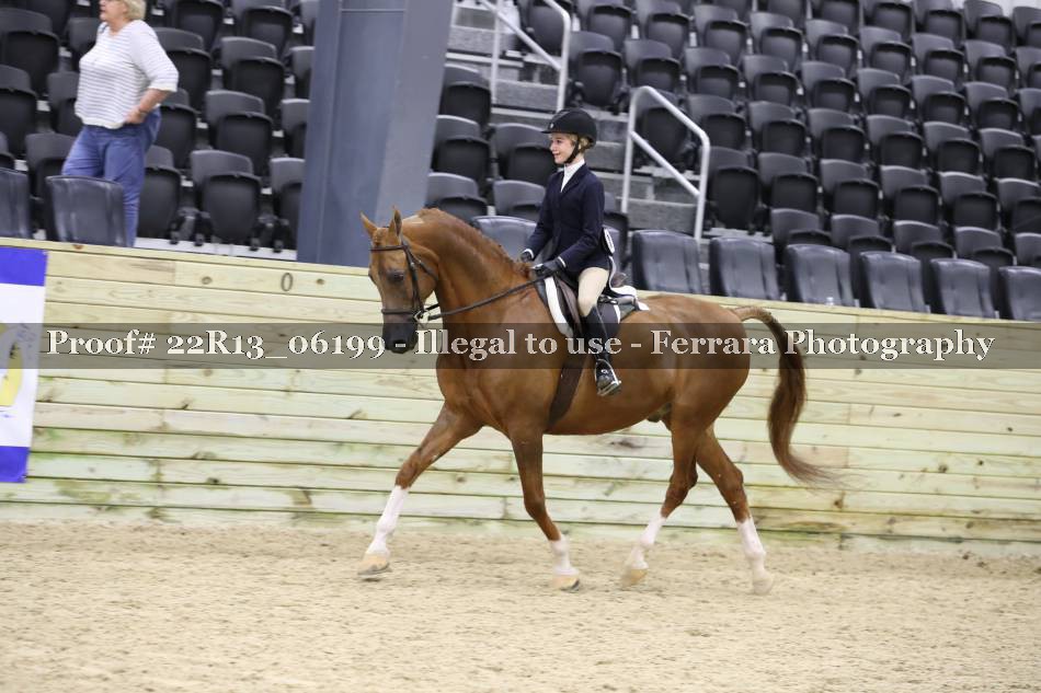 Proof Number 22R13_06199