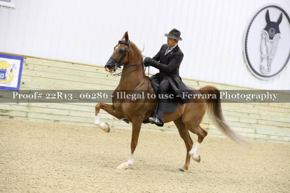 Proof Number 22R13_06286