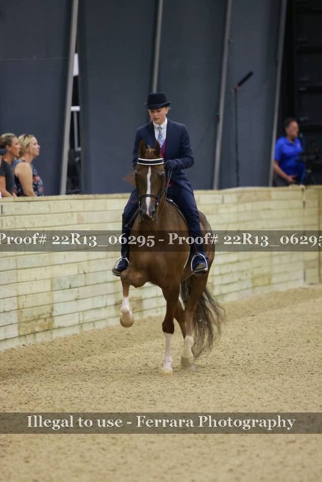 Proof Number 22R13_06295