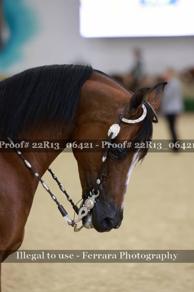 Proof Number 22R13_06421