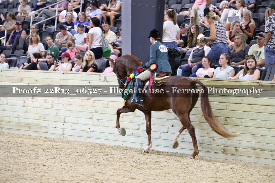 Proof Number 22R13_06527