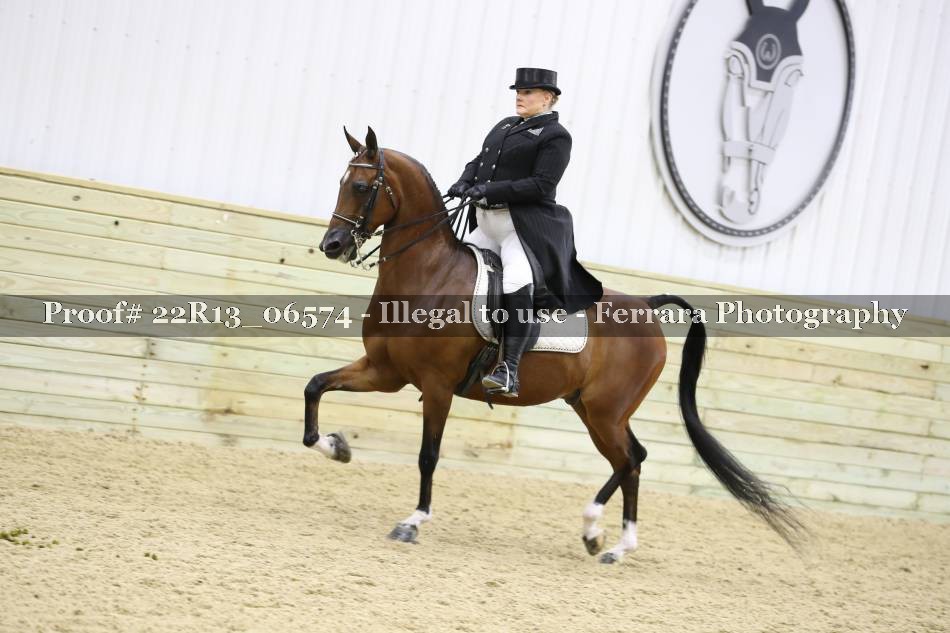Proof Number 22R13_06574