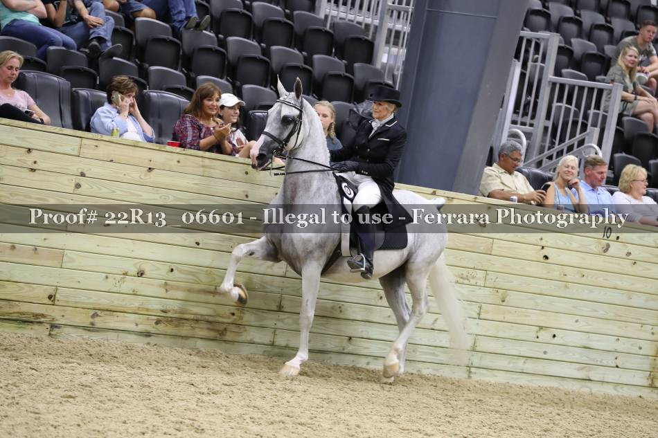 Proof Number 22R13_06601