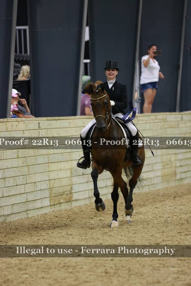 Proof Number 22R13_06613