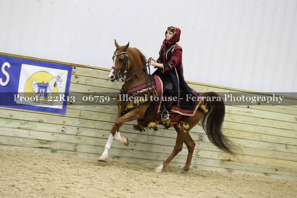 Proof Number 22R13_06759