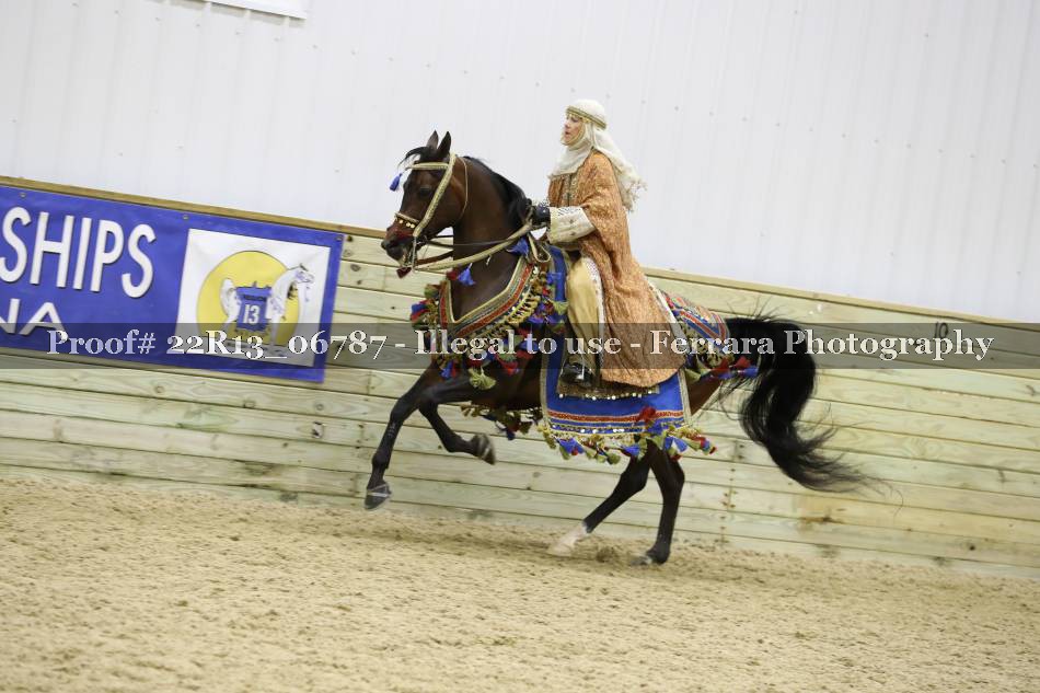 Proof Number 22R13_06787