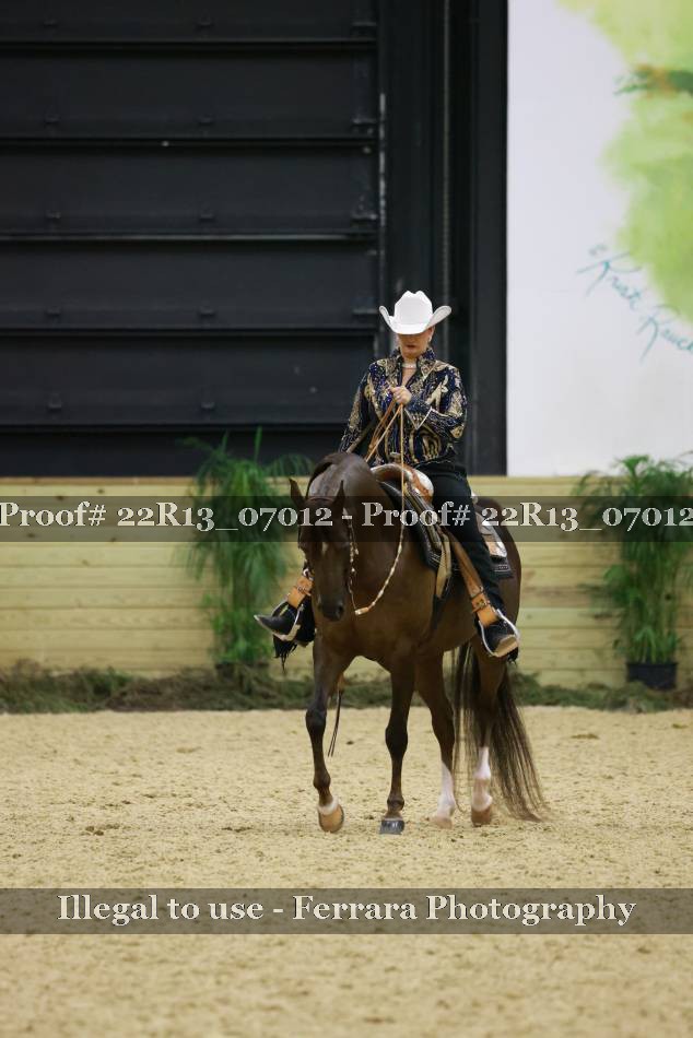 Proof Number 22R13_07012