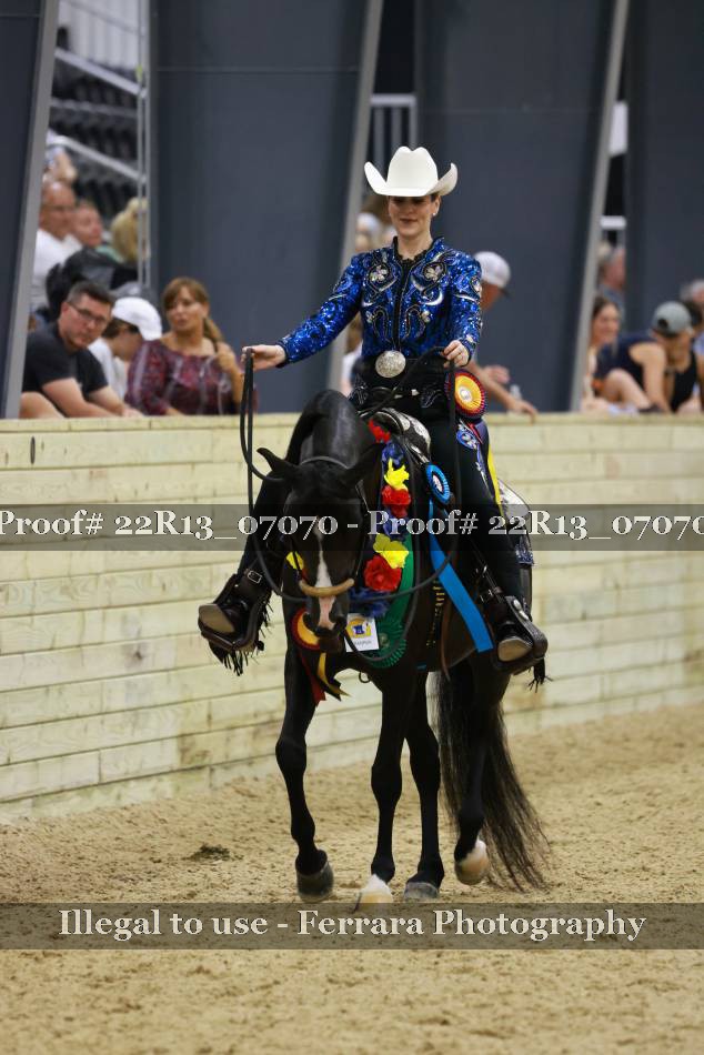 Proof Number 22R13_07070