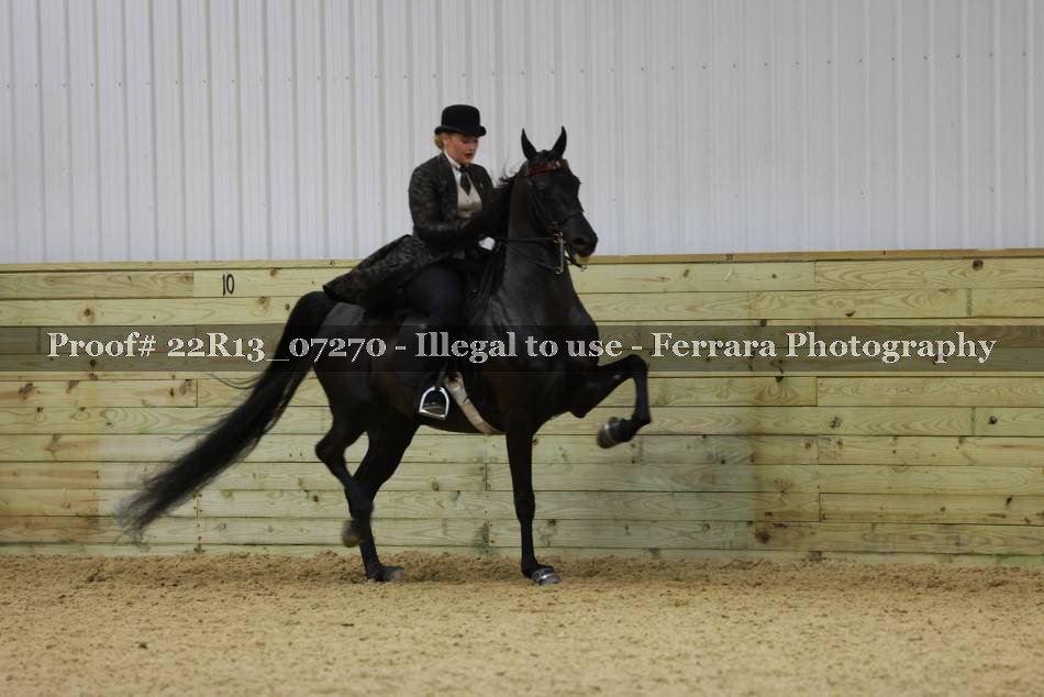 Proof Number 22R13_07270