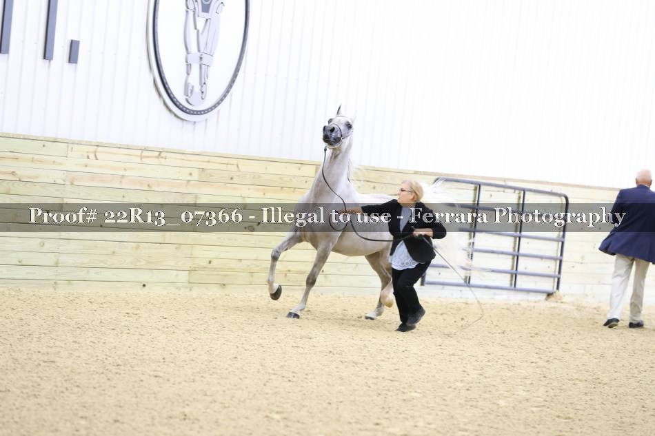Proof Number 22R13_07366