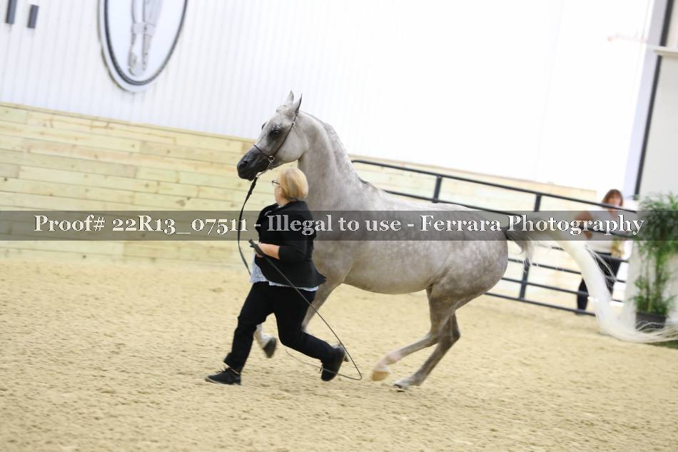 Proof Number 22R13_07511
