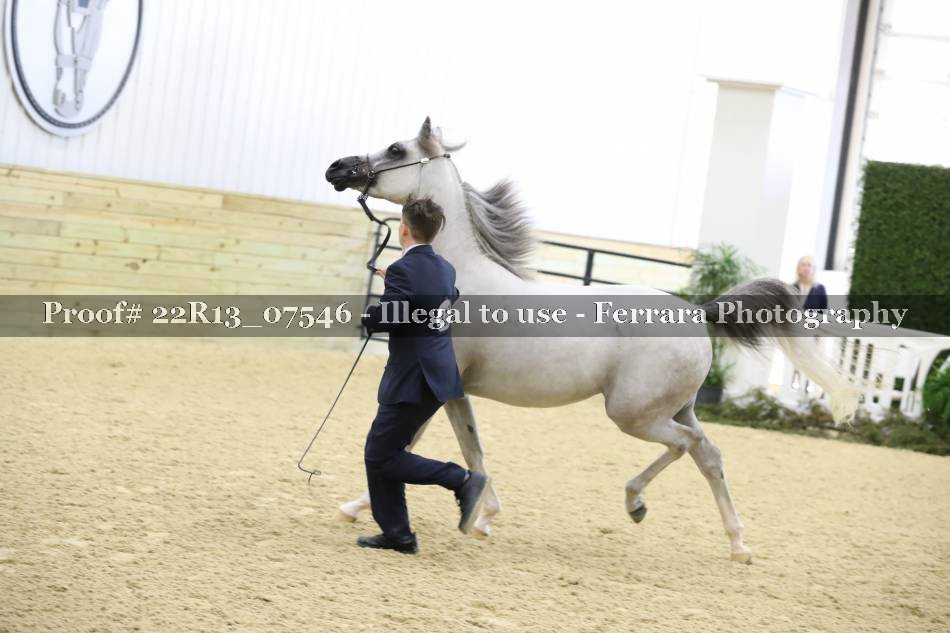 Proof Number 22R13_07546