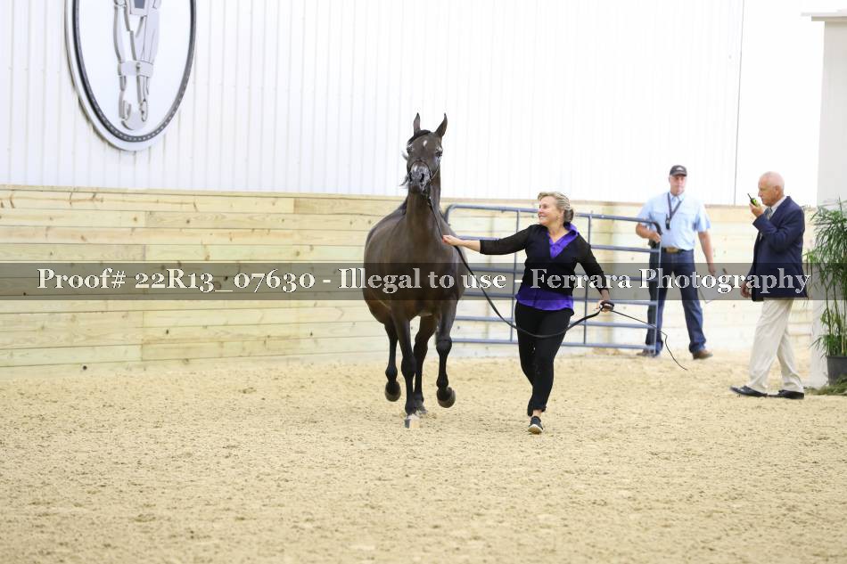 Proof Number 22R13_07630