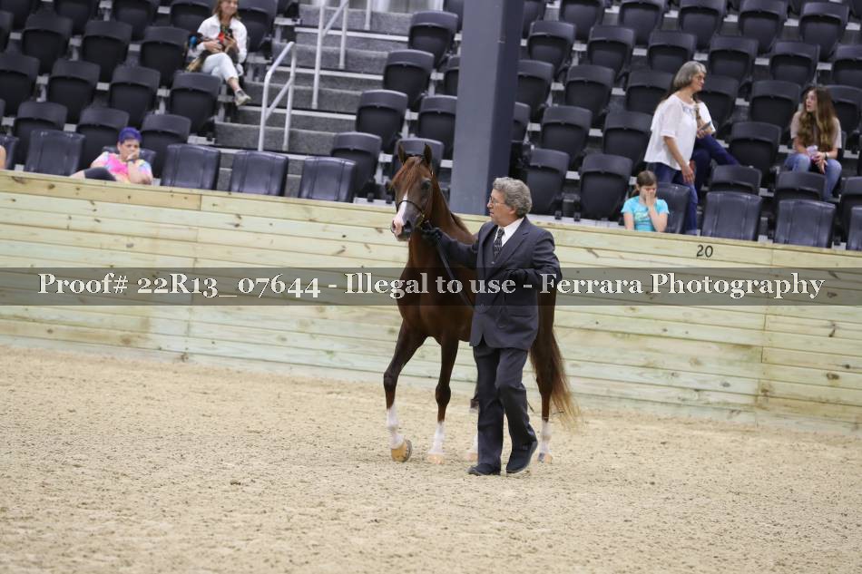 Proof Number 22R13_07644