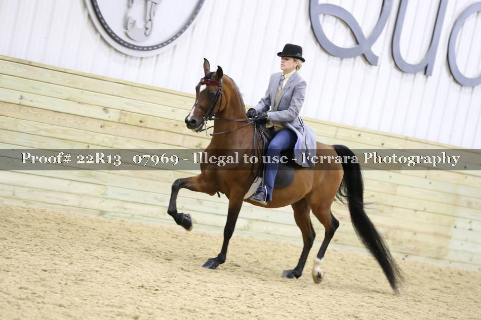 Proof Number 22R13_07969