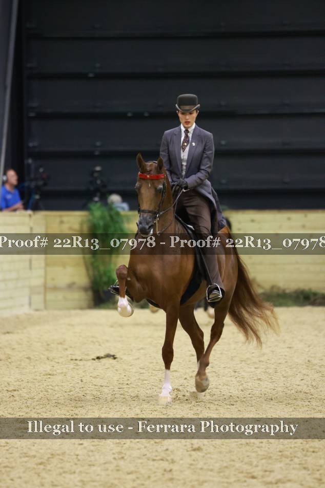 Proof Number 22R13_07978