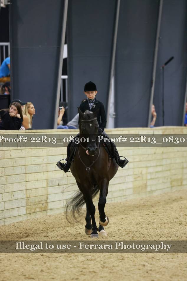 Proof Number 22R13_08301