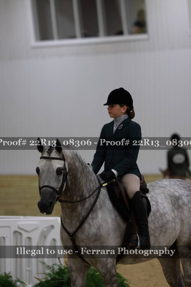 Proof Number 22R13_08306