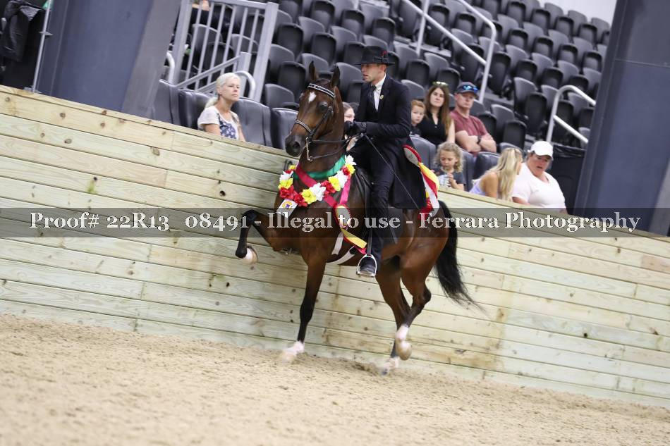 Proof Number 22R13_08491