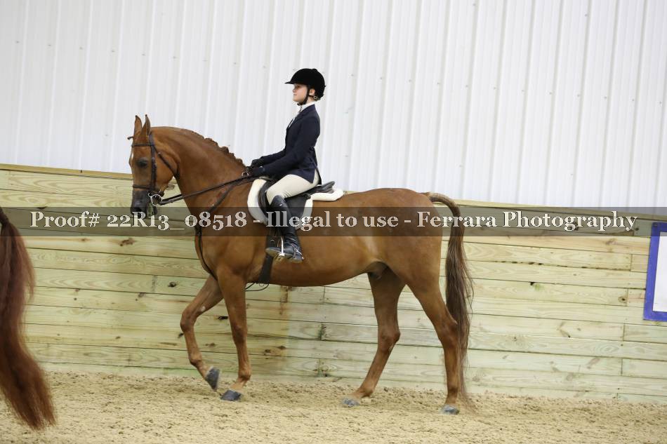 Proof Number 22R13_08518