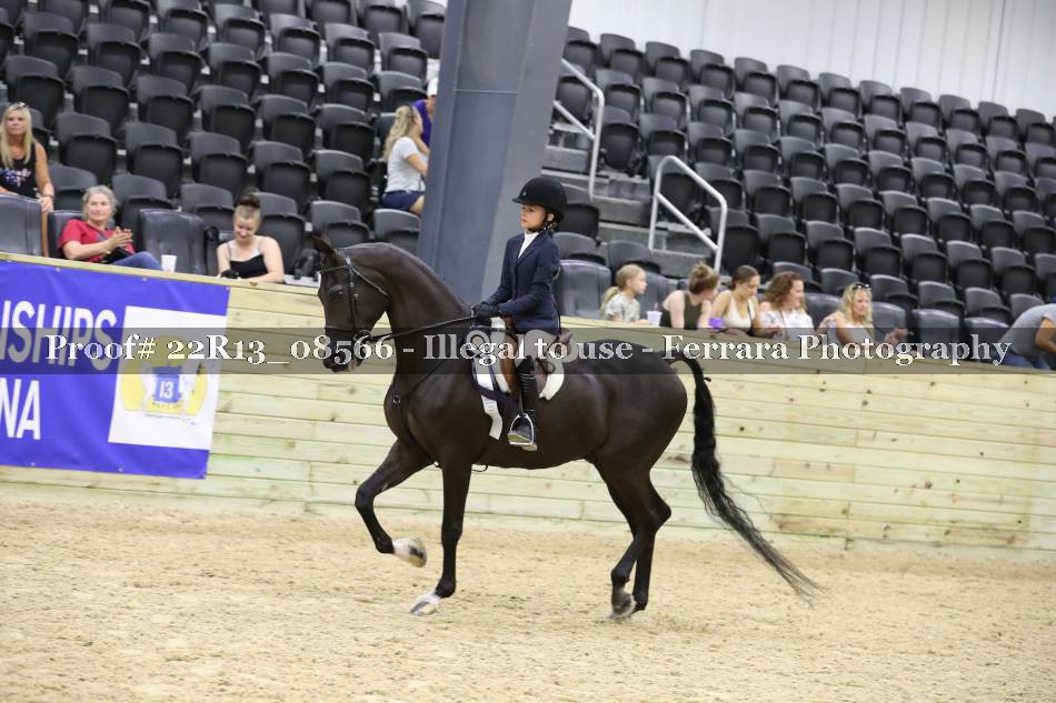 Proof Number 22R13_08566