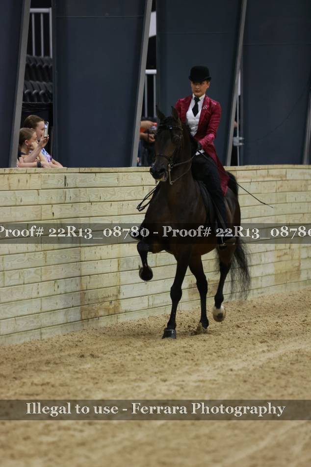 Proof Number 22R13_08780