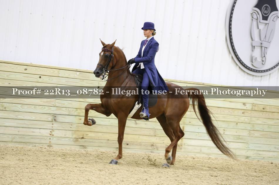 Proof Number 22R13_08782
