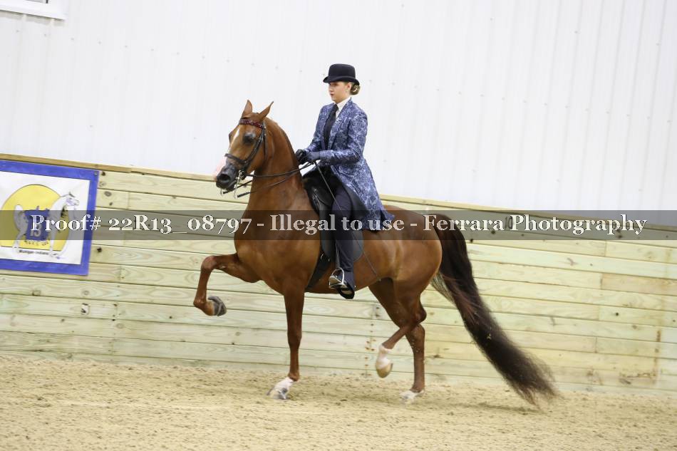 Proof Number 22R13_08797