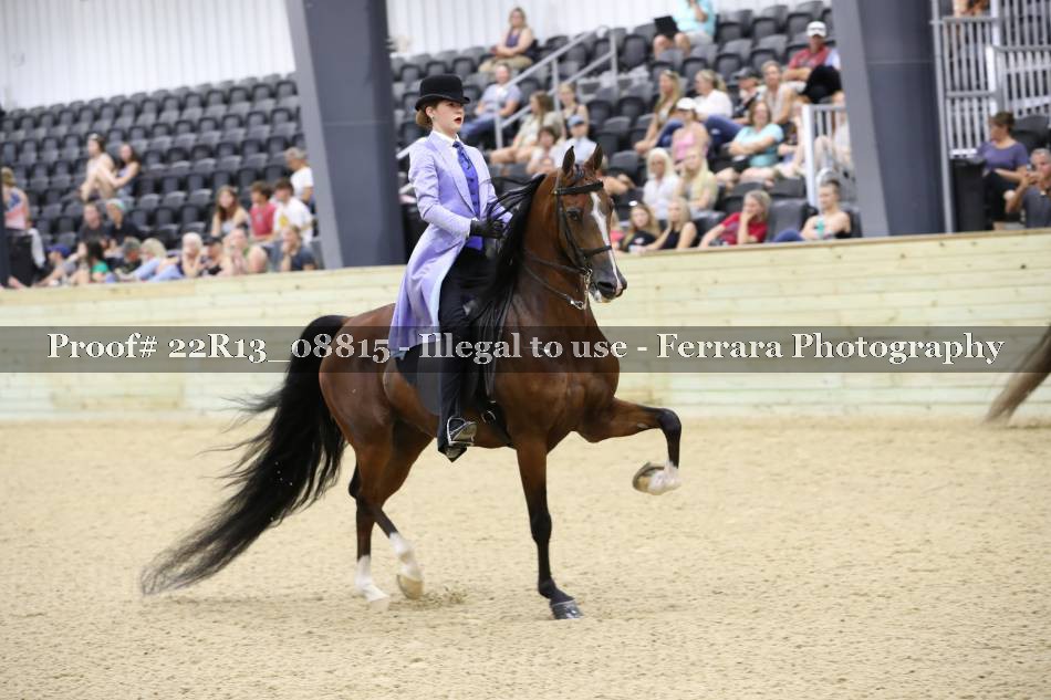Proof Number 22R13_08815