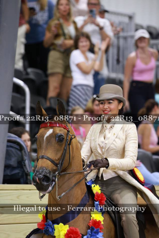 Proof Number 22R13_08871