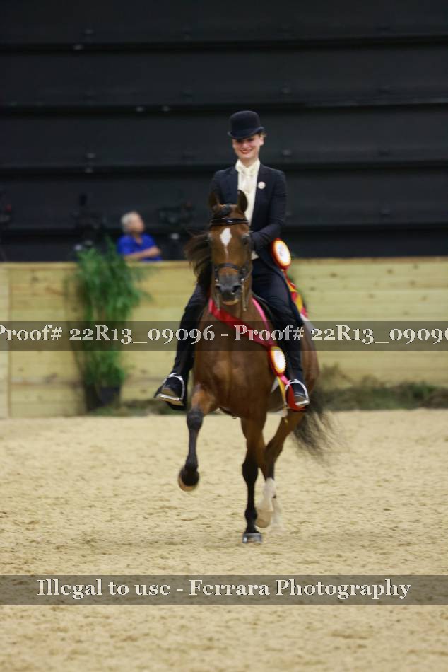Proof Number 22R13_09096
