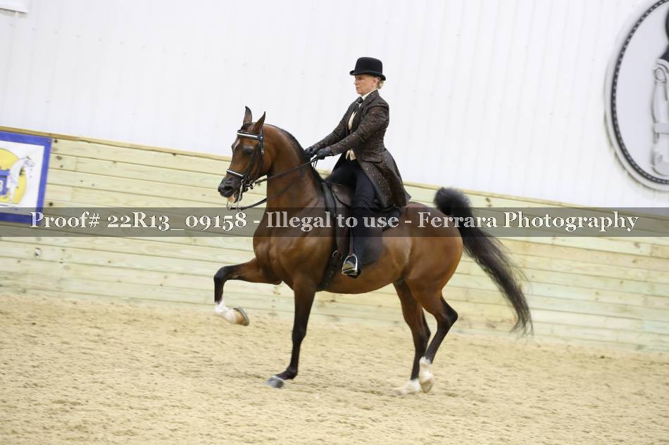 Proof Number 22R13_09158